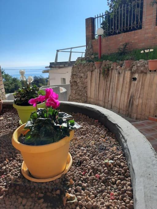 Torre Del Meridiano Casa Vacanze Centrale Termoli Exterior photo